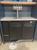 True TDB-24-48 Kegerator Beer Dispenser