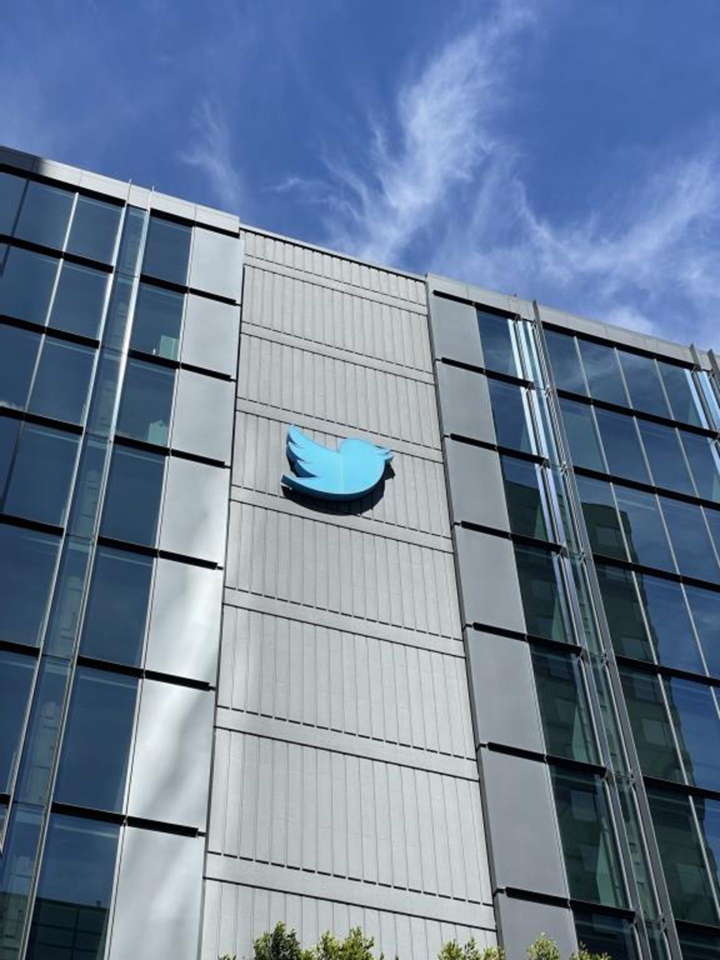 Twitter Bird Logo Fascia Sign on 10th St - Image 2 of 4