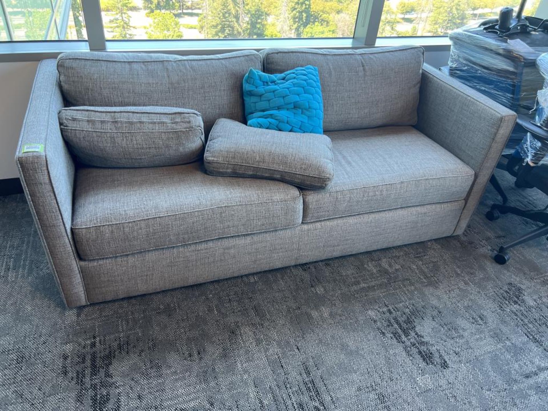 Room and Board Watson Sleeper Sofa