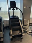 Stair Master Stepping Machine
