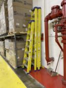 Westward Step Ladder