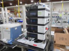Thermo Dionex UltiMate 3000