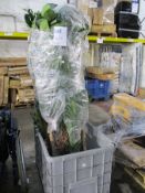 Seven as new indoor artificial house plants/trees (Stillage not included).