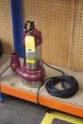 An unbranded Submersible Pump (NOTE: Plug is damaged and may need replacing, viewing is advised).