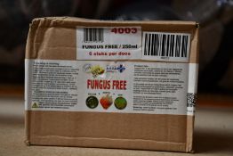 Six Bottles of A.R.T.S. Fungus Free (250ml) for Organic treatment and control of Bud Rot, Mildew and