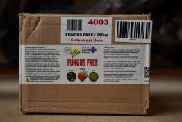 Six Bottles of A.R.T.S. Fungus Free (250ml) for Organic treatment and control of Bud Rot, Mildew and