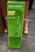 A Greenworks polesaw.