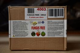 Six Bottles of A.R.T.S. Fungus Free (250ml) for Organic treatment and control of Bud Rot, Mildew and