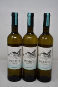 Ten bottles of Pacheca Terroir Douro D.O.C (750ml) (Over 18s only).