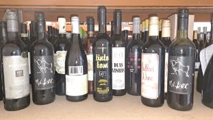 Twelve bottles of assorted wine to include Tinto Bom, McGuigan and Terre Del Monte and Mulled Wine (