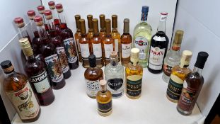 Twenty five bottles to include Cazcabel Tequila, Martini, Brandy, Pimms and Aperitivo (Over 18s only