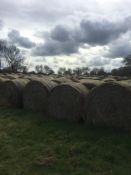 140No. 2021 5ft Round Straw Bales