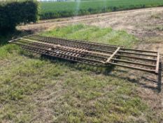 Metal gate and barrier