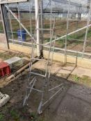 Free standing fruit picking steps