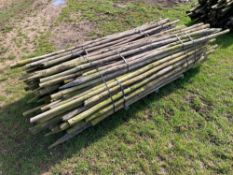 c.80No used tree stakes, 6' tall
