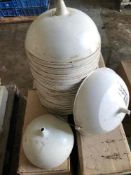 40No blanching caps for endive