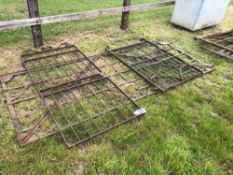 3No Ornamental garden or yard gates