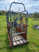 Ritchie mounted cattle weigh crush