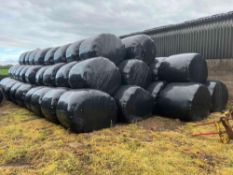 95No Wrapped first cut precision chopped haylage bales. TO BE SOLD AT AN AMOUNT PER BALE FOR THE WHO