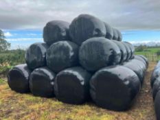 46No Wrapped first cut precision chopped haylage bales. TO BE SOLD AT AN AMOUNT PER BALE FOR THE WHO