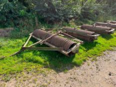 W Wilder & Son Dog and Two Pup Ridged Cambridge Rolls