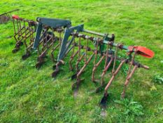 Standen 6 Row Inter Row Beet Hoe