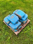 10No. BCS Cast Iron Weights