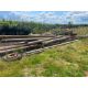 Quantity telegraph poles - Image 2 of 2