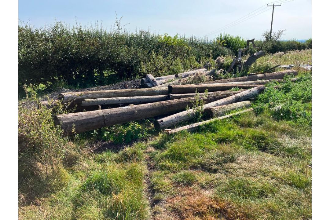 Quantity telegraph poles - Image 1 of 2