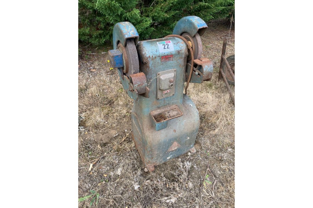 CTP Model M pedestal grinder, 3 phase