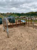 Square cattle feeder