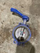 Butterfly valve 6