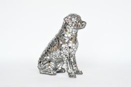 Disco Dog by Carolyn Ash