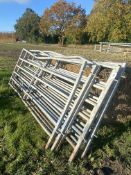 Quantity of IAE race hurdles. V