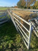 3x cattle yard gates. V
