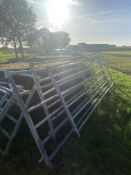 3x IAE race hurdles. V