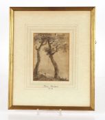 Attributed to Thomas Churchyard 1798-1868, sepia watercolour study of trees, 18cm x 13.5cm