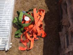 3 x Safety harnesses