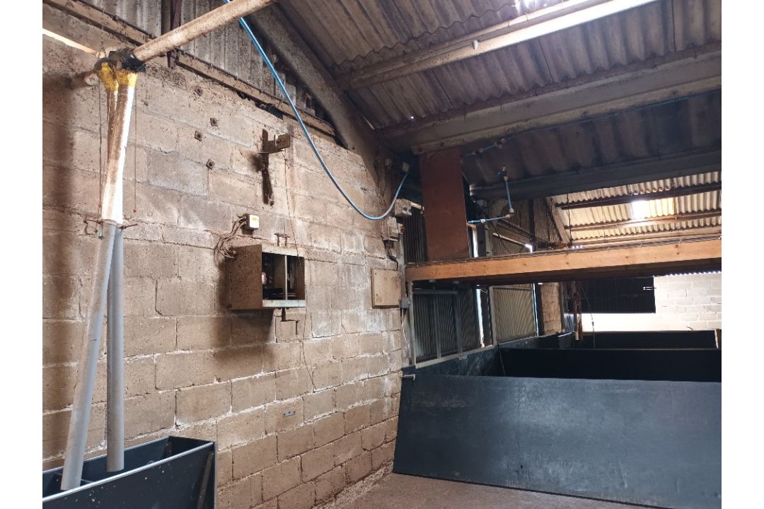 Roxell 56 drop Auto feeder system with 2 motors, 2 lines in 105ft building with control boxes, - Image 4 of 6