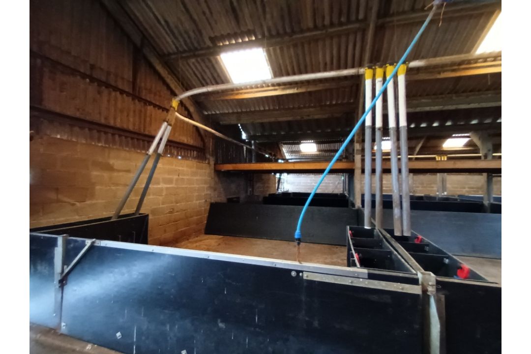 Roxell 56 drop Auto feeder system with 2 motors, 2 lines in 105ft building with control boxes, - Image 1 of 6
