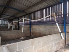 EB Auto feeder 5 drop system,