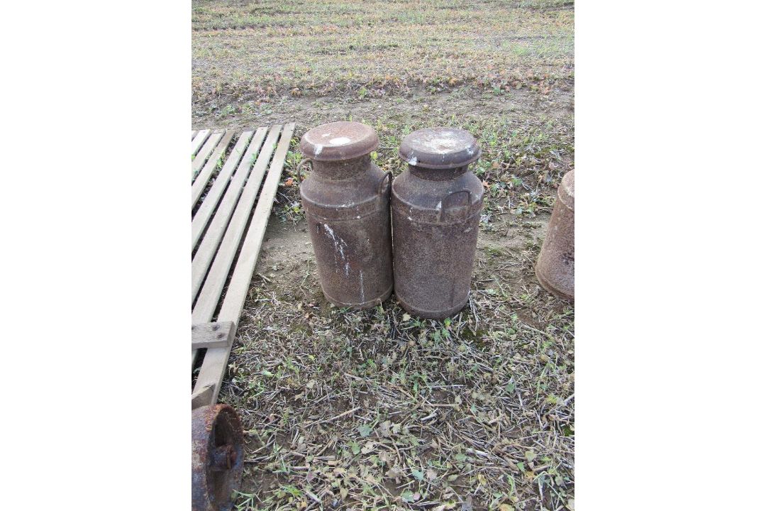 2 x Milk churns (rusty) - Image 1 of 2