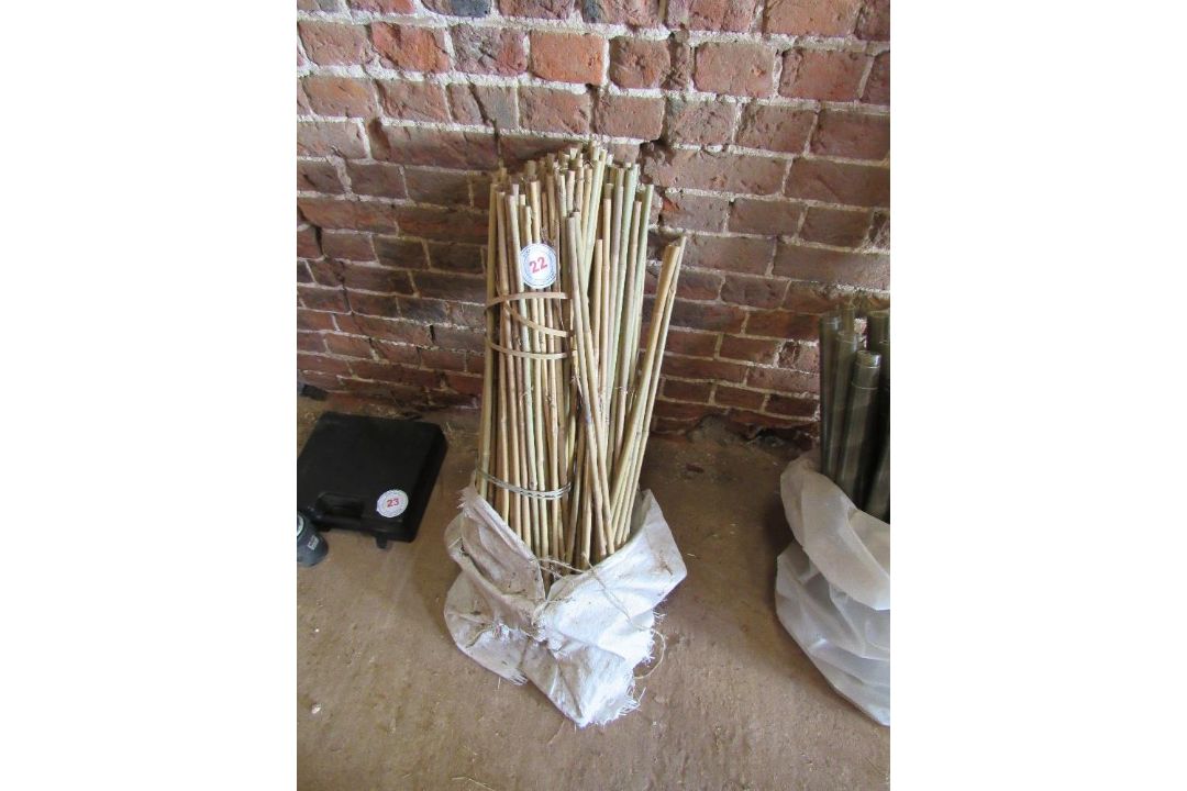 Quantity of canes