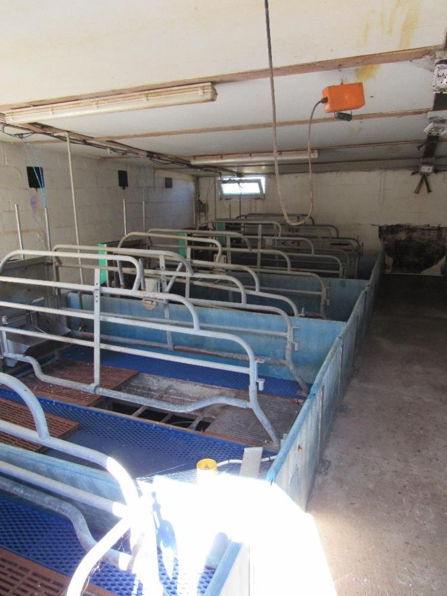 10 x Farrowing crates c/w floors - Image 3 of 4