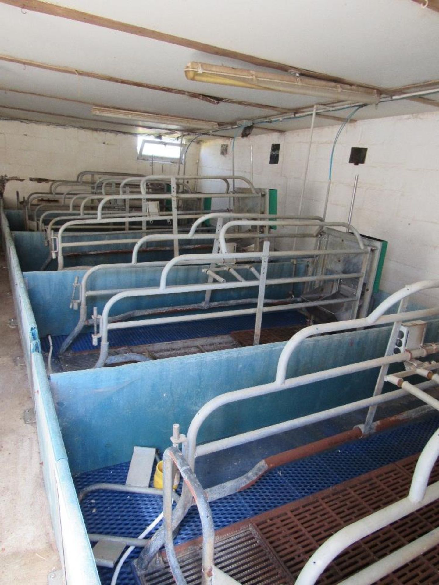 10 x Farrowing crates c/w floors - Image 2 of 4