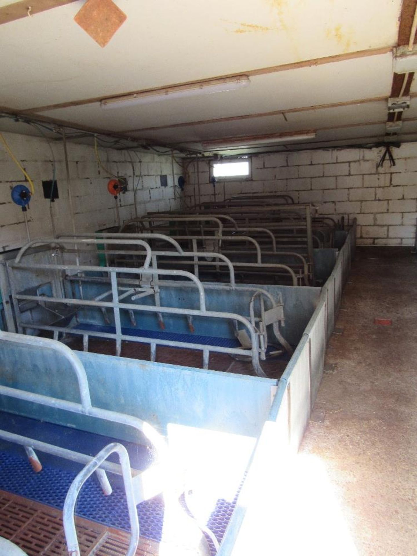 10 x Farrowing crates c/w floors - Image 3 of 4
