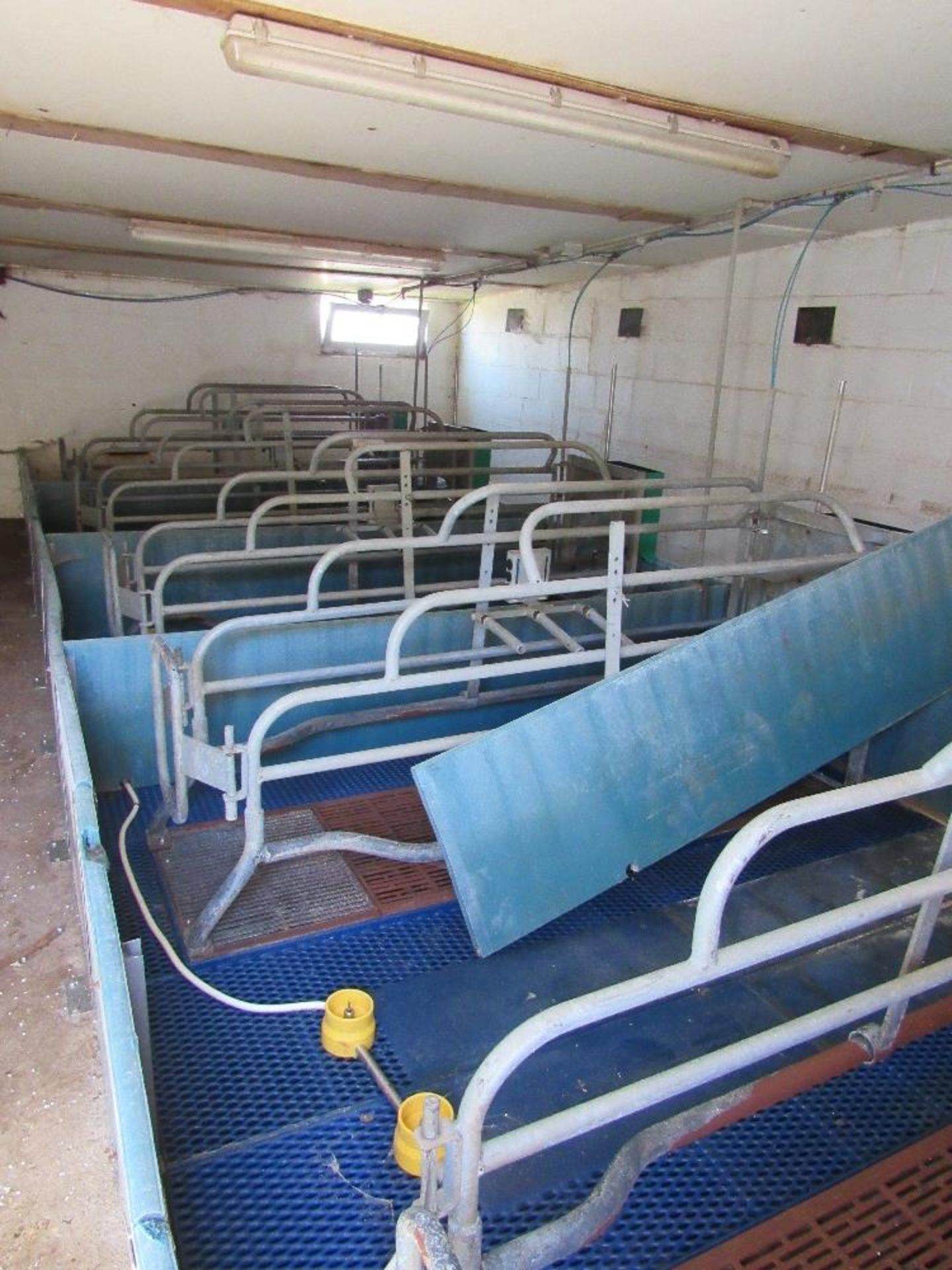 10 x Farrowing crates c/w floors - Image 2 of 4