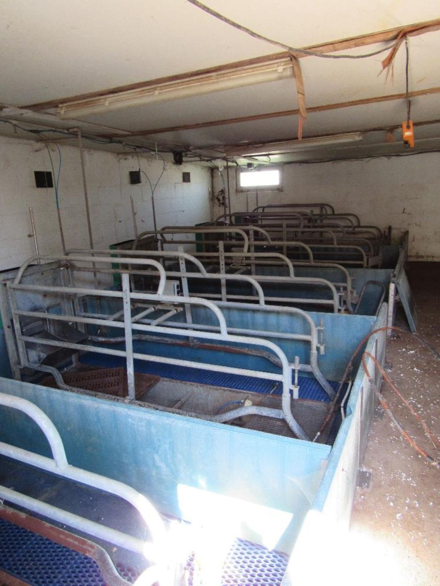 10 x Farrowing crates c/w floors - Image 3 of 4