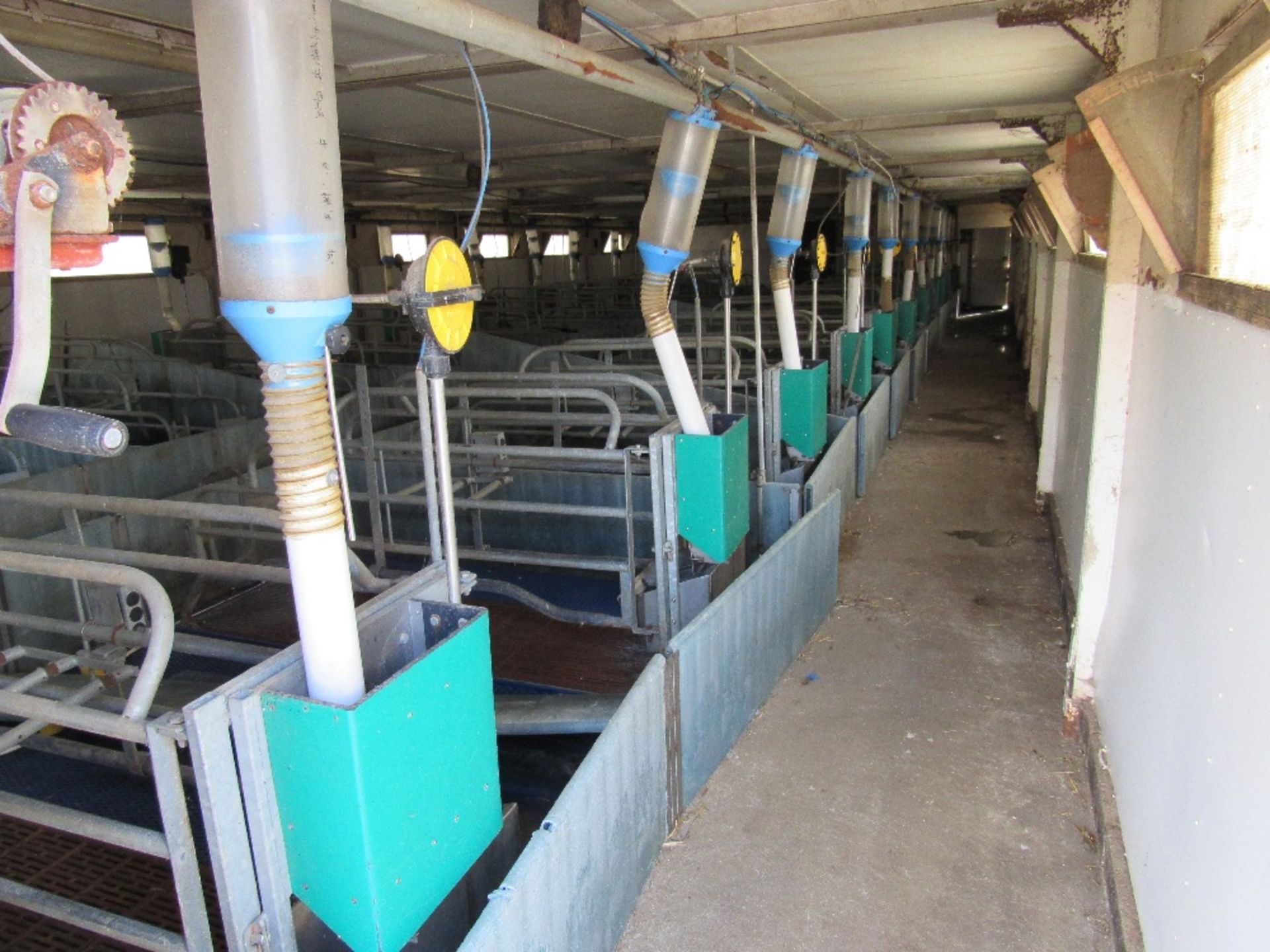 24 x Farrowing crates with drinker and f - Image 2 of 3