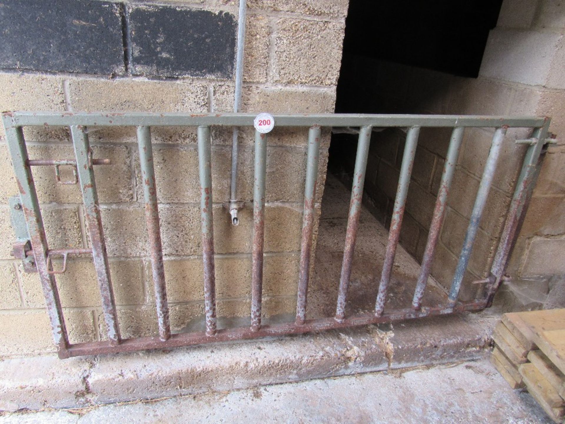 7 x 6ft 8" pen gates